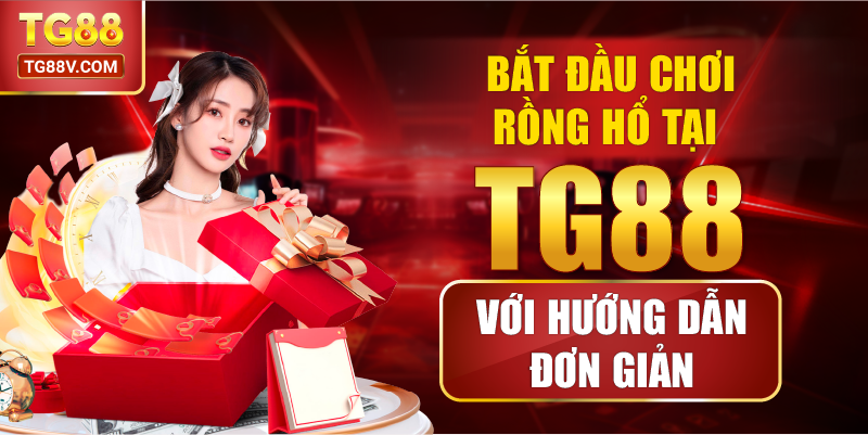 Bắt đầu chơi Rồng Hổ tại TG88 với hướng dẫn đơn giản.